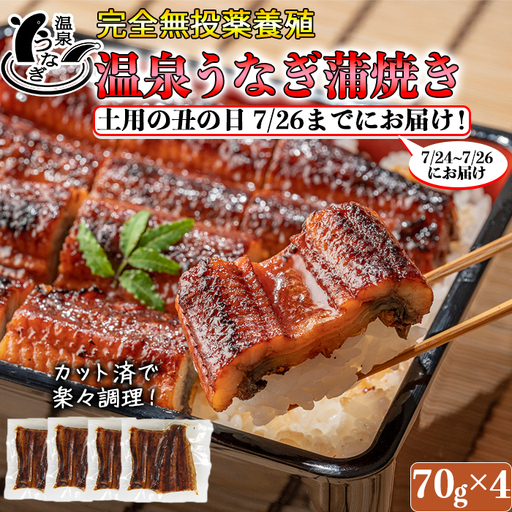 土用の丑 までに(7/24～7/26)お届け 完全無投薬養殖 温泉うなぎ蒲焼 (カット) 70g×4【大分水産】 国産 うなぎ 丑の日 土用の丑の日 鰻 ＜104-059＞