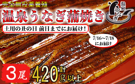 [ 土用の丑 前日までにお届け ] 完全無投薬養殖 国産 温泉うなぎ蒲焼 3尾 (140gサイズ) 期間限定 土用の丑 丑の日 土用の丑の日 [104-061_5]