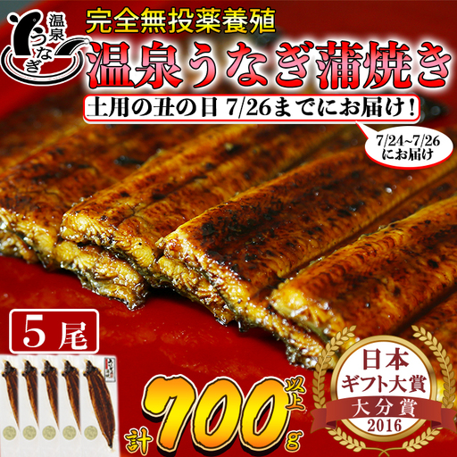 土用の丑 までに(7/24～7/26)お届け 完全無投薬養殖 温泉うなぎ蒲焼 5尾 (140gサイズ)【大分水産】 国産 うなぎ 丑の日 土用の丑の日 鰻 ＜104-062＞