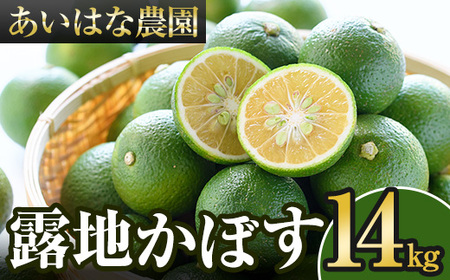 s\tI2025N8{`2026N2{돇\聄InJ{X(14kg)ڂ J{X k Yi 啪Yy107100901zy͂Ȕ_z