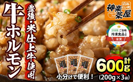 豊後米仕上げ牛 牛ホルモン炒め(計600g・200g×3パック)牛肉 お肉 小腸 おかず おつまみ 小分け 簡単調理 時短 惣菜[111100502][神楽茶屋]