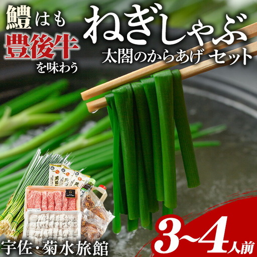 ねぎしゃぶ＋太閤からあげ(7品)ねぎしゃぶ しゃぶしゃぶ おおいた和牛 鱧 はも 鍋 お鍋 唐揚げ からあげ セット【101500501】【菊水旅館】