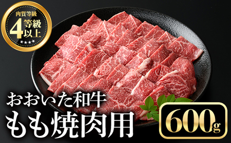 ���������a�������ē��p(600g)���� ���� �₫�ɂ��y112101500�z�y�~�[�g�N���X�g�z