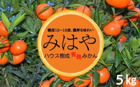 [先行予約受付中!2025年1月中旬から2月中旬の間に順次発送予定]みはや(約5kg)みはや(約5kg)ハウス 樹成 完熟みかん 蜜柑 柑橘 かんきつ フルーツ 果物 くだもの[111600100][永木農園]