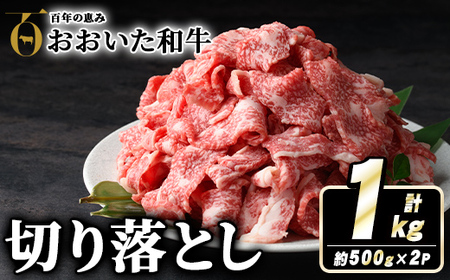 おおいた和牛切り落とし(計1kg・500g×2P) 牛肉 お肉 ウデ モモ バラ 切り落とし 切り落し 切落し こま切れ すき焼き 肉じゃが おおいた和牛 和牛 霜降り【110201002】【吉野】