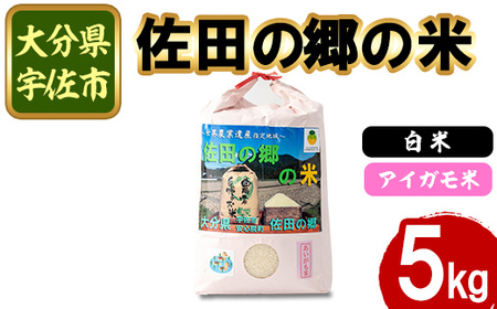 VāEߘa7NYc̋̕ ACK(5kg)  ͂ qmqJ Ђ̂Ђ uh 퉷 퉷ۑy111700503zyݒuvWFNg@c̋̉z