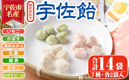 �F���� �l�ߍ��킹(14��)���� ���َq ������ ����� � ������ ���ڂ� ���B�݂��� ���傤�� ���I �Β� ���Ȃ� ���ȕ� ���ڂ��s�[���y112800501�z�y���������z