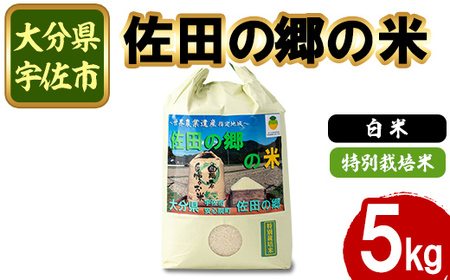 [新米・令和6年産]佐田の郷の米 特別栽培米(5kg)お米 白米 ごはん ブランド米 常温 常温保存[111700701][雅設置プロジェクト 佐田の郷の会]