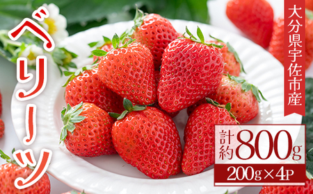 ＜2026年1月上旬～4月下旬の間に発送予定＞いちご(計約800g・200g×4P)苺 イチゴ フルーツ 果物 くだもの 果実 ベリーツ【117900100】【Farm U.S.A.】