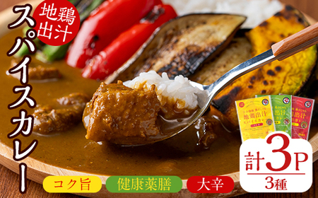 大分地鶏豊のしゃも地鶏出汁スパイスカレー3種セット(合計540g・180g×3パック)レトルト 簡単調理 ご当地カレー[112400201][天峯ファーム]