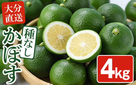 Ƃ̋u̎Ȃڂ(4kg)k 񂫂 J{X 햳 Ԍy111300900zy_сz