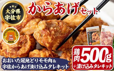 宇佐からあげ セットTHE USA Box/DX(鶏もも肉500g、宇佐からあげ漬け込みタレキット1P)鶏肉 鳥肉 唐揚げ おおいた冠地どり 地鶏 ブランド鶏[114003600][一般社団法人 地域商社USA]