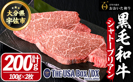 a Vg[uA THE USA Box/DX(v200gE100g×2)  јa A4  Xe[Ly114003701zyʎВc@l@n揤USAz