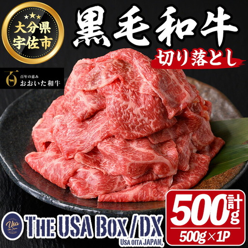 おおいた和牛 切り落とし THE USA Box/DX(500g×1P) 牛肉 黒毛和牛 A4 お肉【114003900】【一般社団法人　地域商社USA】