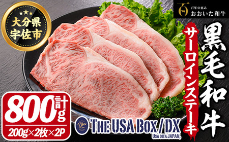a T[CXe[L THE USA Box/DX(v800gE200g×2×2P)  јa A4 y114004101zyʎВc@l@n揤USAz