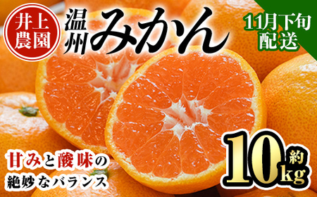 s\tI11{菇\聄ʌ 啪FsY B݂(10kg)݂ ~J  k t[c ʕ  ʎ Yy103620300zy_z