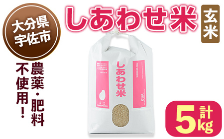 [令和6年産・新米]しあわせ米 玄米(計5kg) お米 5キロ 常温 常温保存 [101000401][宇佐本百姓]