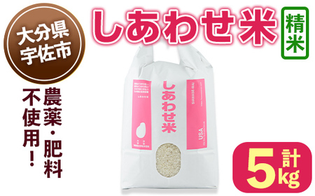 [令和6年産・新米]しあわせ米 精米(計5kg) お米 白米 5キロ 常温 常温保存 [101000501][宇佐本百姓]