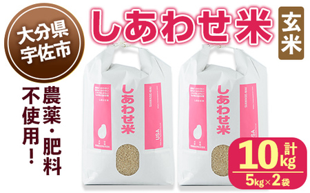 [令和6年産・新米]しあわせ米 玄米(計10kg・5kg×2袋) お米 10キロ 常温 常温保存 [101000601][宇佐本百姓]