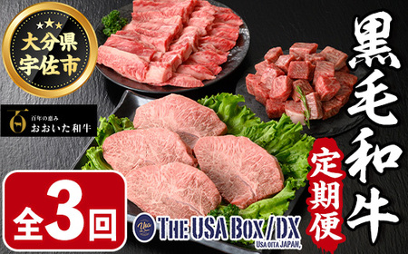 ցES3(u)a3 THE USA Box/DX(TCRXe[L400gA~XWXe[L400gAJr500g)  јa A4  Xe[L Zbg l lߍ킹 Hהׁy2