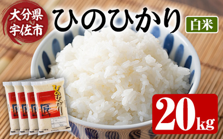 s\tI2025N10{菇\聄ߘa7NYEVāЂ̂Ђ  (v20kgE5kg×4P)  ͂ сy107101201zy͂Ȕ_z