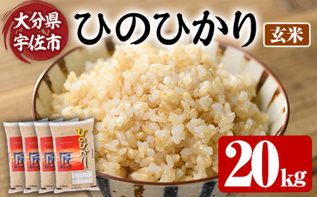 s\tI2025N10{菇\聄ߘa7NYEVāЂ̂Ђ  (v20kgE5kg×4P)  ͂ сy107101501zy͂Ȕ_z