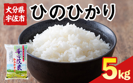 [令和6年産・新米]ヒノヒカリ 大分県宇佐市安心院産(5kg) お米 白米 精米 ご飯 ごはん ひのひかり[116800100][大分県農業協同組合 ふれあい市場安心院店]