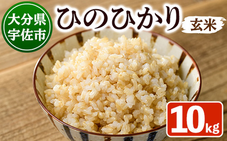 ���V�āE�ߘa7�N�Y�����S�@�Y�Ђ̂Ђ��� ���� (10kg) �� ���� �Ђ̂Ђ��� �q�m�q�J�� ���� ���� �啪���Y�y101200202�z�y�S���a�y�z