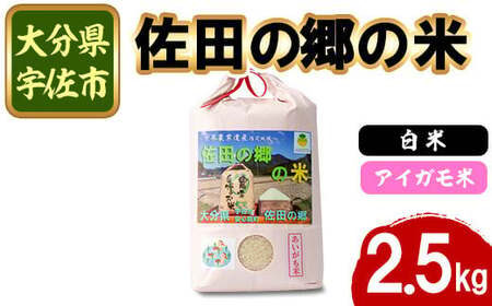 VāEߘa7NYc̋̕ ACK(2.5kg)  ͂ qmqJ Ђ̂Ђ uh 퉷 퉷ۑy111700403zyݒuvWFNg@c̋̉z