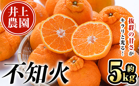 ＜先行予約受付中！2025年3月下旬より順次発送予定＞産地直送！！大分県宇佐市産 不知火(約5kg)みかん ミカン 蜜柑 柑橘 しらぬい フルーツ 果物 くだもの 果実 国産【103600600】【井上農園】