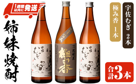 「極み香」「宇佐むぎ」姉妹焼酎セット (合計2.16L・720ml×3本) 酒 お酒 麦焼酎 アルコール 飲料 常温 詰合せ 飲み比べ セット 四ツ谷酒造[107305900][時枝酒店]