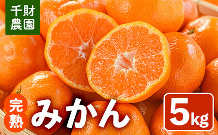 [先行予約受付中!2025年11月上旬から順次発送予定]千財農園 みかん(約5kg)みかん ミカン 蜜柑 柑橘 フルーツ 果物 くだもの 果実[109000401][千財農園]