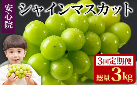 ցES3(A)VC}XJbg(3kgE1kg×3)t[c ʕ  Ԃǂ S@ lC LOs\tI2026N8{菇\聄kC  z