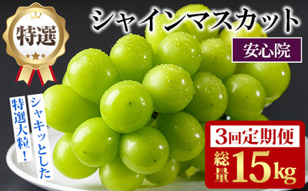 ցES3(A)IVC}XJbg(15kgE5kg×3)VC}XJbg Ԃǂ  t[c ʕ  ʎ Is\tI2026N8{菇\聄