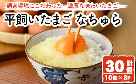平飼い卵 なちゅら(計30個・10個×3P) 卵 玉子 鶏卵 卵かけご飯 玉子焼き[108800400][カジワラファーム]