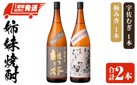 麦焼酎 兼八のふるさと納税 返礼品 検索結果 | ふるさと納税