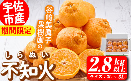 s\tI2026N3{`4{̊Ԃɔ\聄sm(2L`3LE2.8kg`)݂ t[c ʂ k ~Jy113300300zyJqʎz