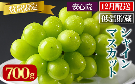 VC}XJbg(700g)VC}XJbg Ԃǂ  t[c ʕ  ʎs\t 2025N12{珇\聄kC  zsy106301100zy