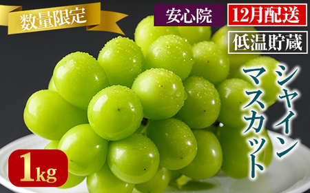 VC}XJbg(1kg)VC}XJbg Ԃǂ  t[c ʕ  ʎs\t 2025N12{珇\聄kC  zsy106301000zy