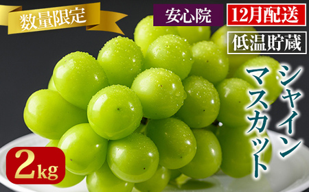 VC}XJbg(2kg)VC}XJbg Ԃǂ  t[c ʕ  ʎs\t 2025N12{珇\聄kC  zsy106301200zy