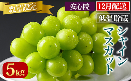 VC}XJbg(5kg)VC}XJbg Ԃǂ  t[c ʕ  ʎs\t 2025N12{珇\聄kC  zsy106301300zy