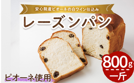 ピオーネ白ワイン仕込みパン(一斤・800g) パン 朝ごはん 朝食 おやつ レーズンパン 干しブドウ ピオーネ[118000100][オーマイパン]