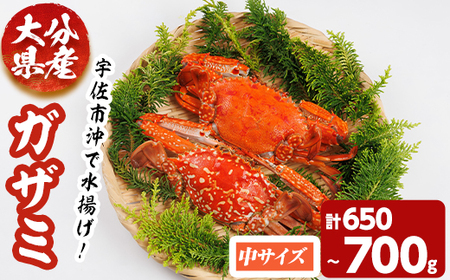 ����������(�v650g~700g�E���T�C�Y) ���^���K�j�@�I �{�C�� �C�N ���� �Ⓚ �y101901900�z�y��쐅�Y�z