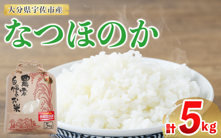 �Ȃق̂� (�v5kg) �� ���� �Ȃق̂� �i�c�z�m�J ���� ���� �啪���Y�y118500100�z�y���@�_�Y�z