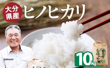 �q�m�q�J�� ���� (10kg) ���� ���͂� ���� �Ђ̂Ђ��� ���ʌ��� �y118300400�z�y�^�c�@���z