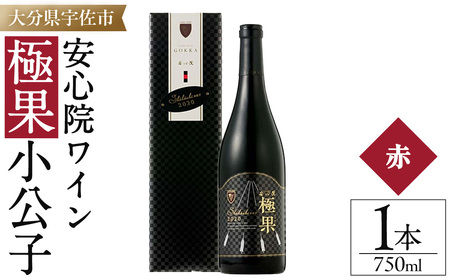 安心院ワイン 極果 小公子 専用カートン(化粧箱)入り(750ml) 酒 お酒 ワイン 赤ワイン アルコール 飲料 ぶどう 葡萄 ギフト 贈り物[104305000][山添産業]