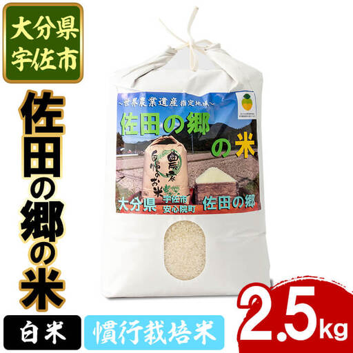 ＜令和7年産＞佐田の郷の米 慣行栽培米(2.5kg) お米 白米 ごはん ヒノヒカリ ひのひかり ブランド米 常温 常温保存【111701000】【雅設置プロジェクト　佐田の郷の会】