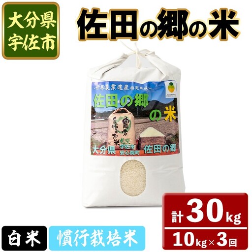 ＜令和7年産＞＜定期便・総３回＞佐田の郷の米 慣行栽培米(計30kg) お米 白米 ごはん ヒノヒカリ ひのひかり ブランド米 常温 常温保存【211700300】【雅設置プロジェクト　佐田の郷の会】