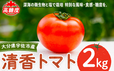 [先行予約受付中!4月上旬以降順次発送予定]清香トマト(2kg)トマト 高糖度 フルーツトマト 野菜[118800200][ヘリックス]