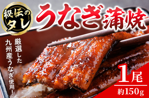 うなぎの蒲焼(一尾) うなぎ 鰻 ウナギ 国産 九州産 蒲焼き うな重[118700100][まつや]